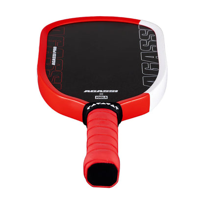 JOOLA Agassi Pro Mini Pickleball Paddles