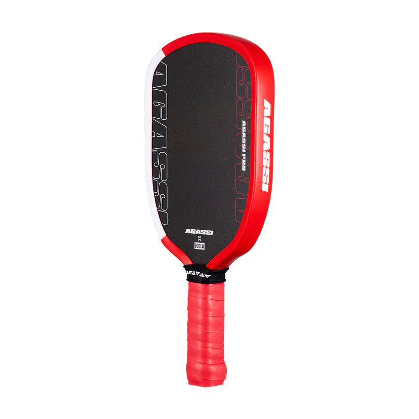 JOOLA Agassi Pro Mini Pickleball Paddles